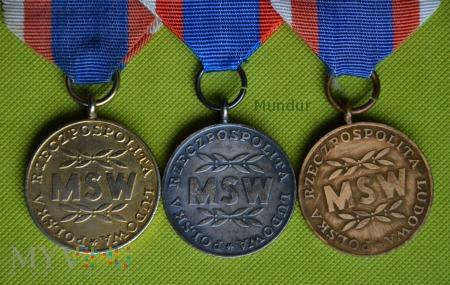 Odznaka W Służbie Narodu jest odznaką trzystopniową: złota, srebrna, brązowa. Oznakę odznaki stanowi medal o średnicy 32 mm. Brązowy, srebrzony-oksydowany lub pozłacany w zależności od stopnia.