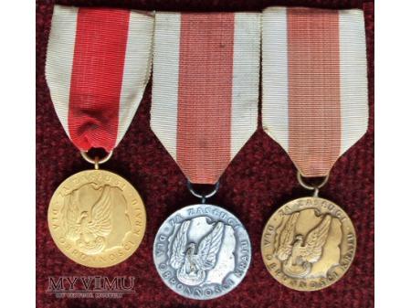 Medal za Zasługi dla Obronności Kraju 209-0-7 Medal za Zasługi