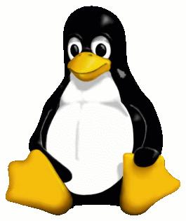 Infrastruktura GNU/LINUX JEST JAK WIGWAM No gates, no windows, nor