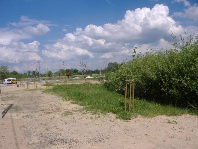 terenów sąsiadujących Właśnie