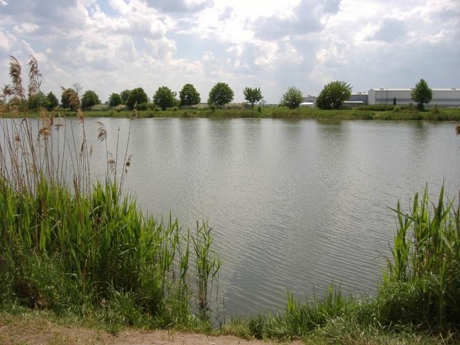 terenów nad zalewem.