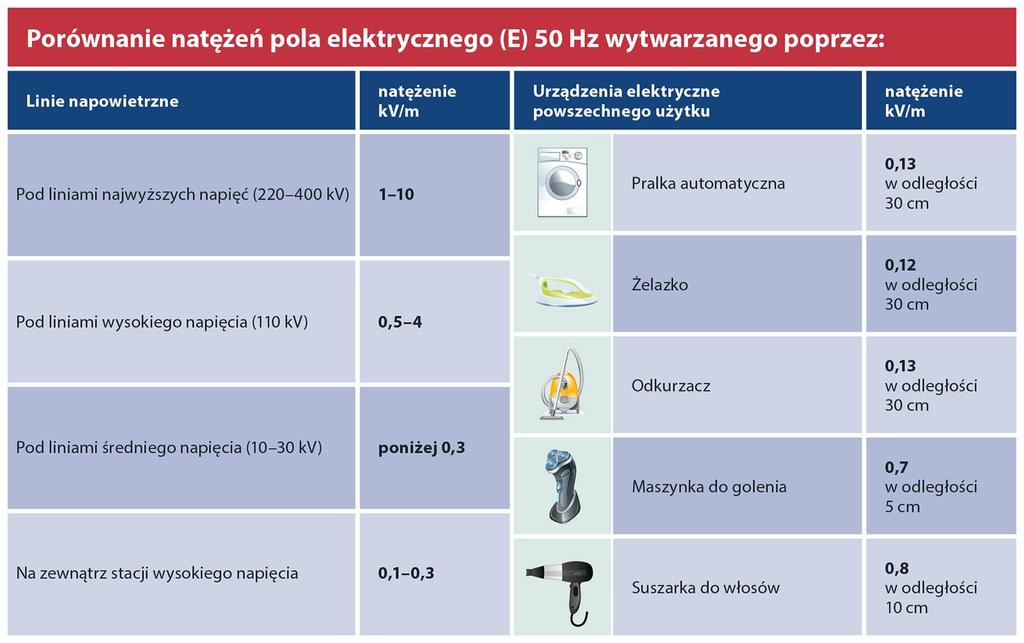 źródło: