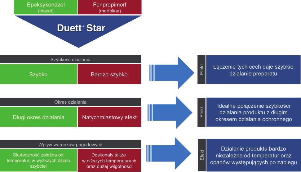 Doskonały także w niższych temperaturach oraz dużej wilgotności Efekt Efekt Efekt Łączenie tych cech daje szybkie działanie preparatu Idealne połączenie szybkości działania produktu z długim okresem