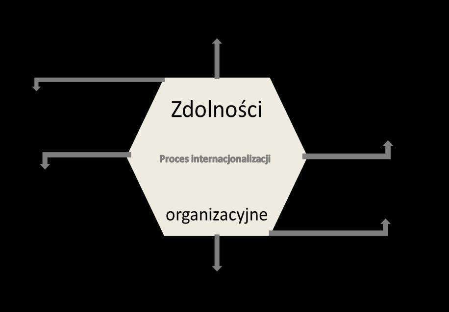 Rys. 1. Wymiary internacjonalizacji Źródło: opracowanie własne na podstawie: S.