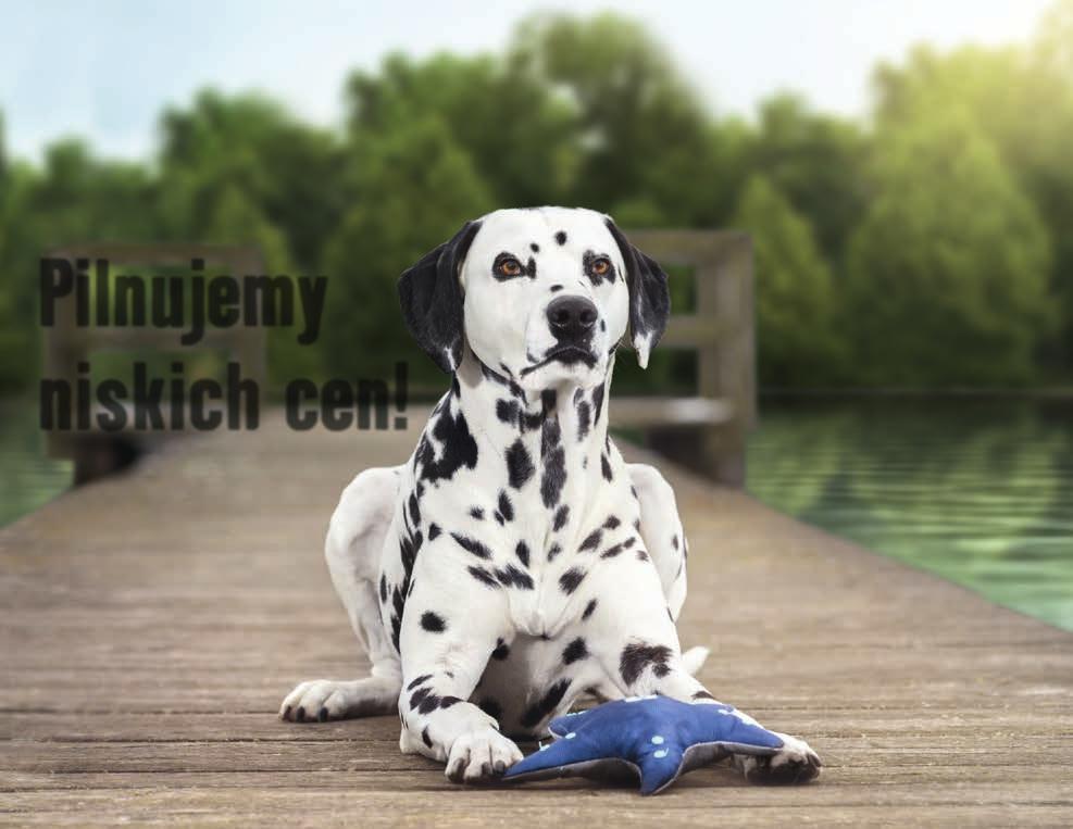 Pilnujemy niskich cen!