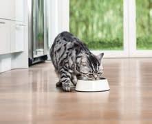 było od 4,99-8% od 10 99 było od 11,99 Cat Chow