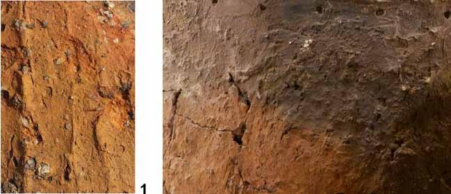 1 Fig. 12. Means of roughening of pottery walls: 1 Perespa, Tomaszów Lubelski district, site 54, from the surface of the cemetery (photo by M.
