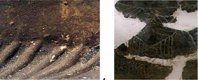 1 Fig. 14. Flutes and grooves: 1 Perespa, Tomaszów Lubelski district, site 54, burial 15 (photo by M. Piotrowski); 3 Krupy, Lubartów district, burial 23 (photo by P. Maciuk) Ryc. 14. Kanelury i żłobki: 1 Perespa, pow.