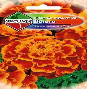 ROŚLINY OZDOBNE ROŚLINY JEDNOROCZNE Aster peoniowy mieszanka 1 0,85 0,92