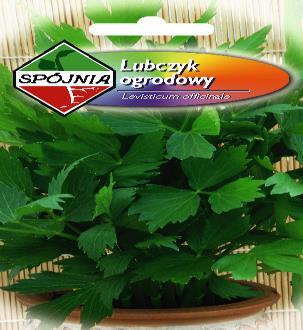lekarska 0,3 1,15 1,24 Melissa officinalis Mięta pieprzowa