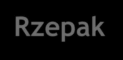 Rzepak- powierzchnia