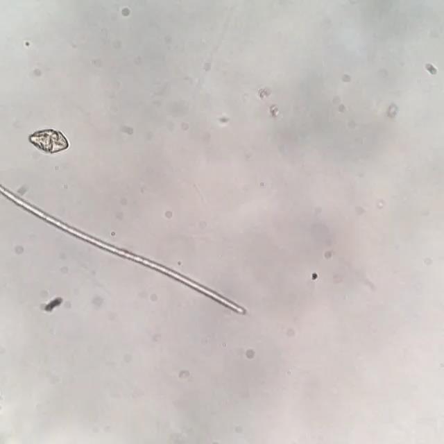 https://www.instagram.com/p/7juvwuhnj1/?