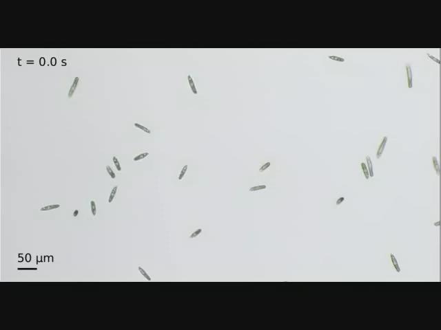 http://www.pnas.
