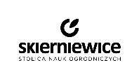 Wstępny