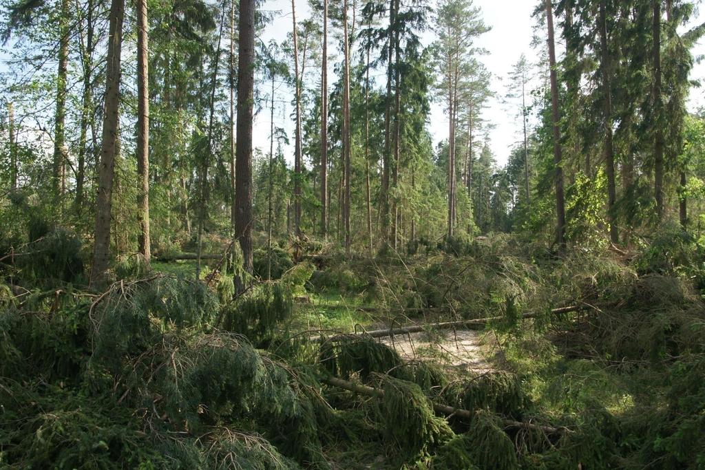 20 W pierwszej kolejności