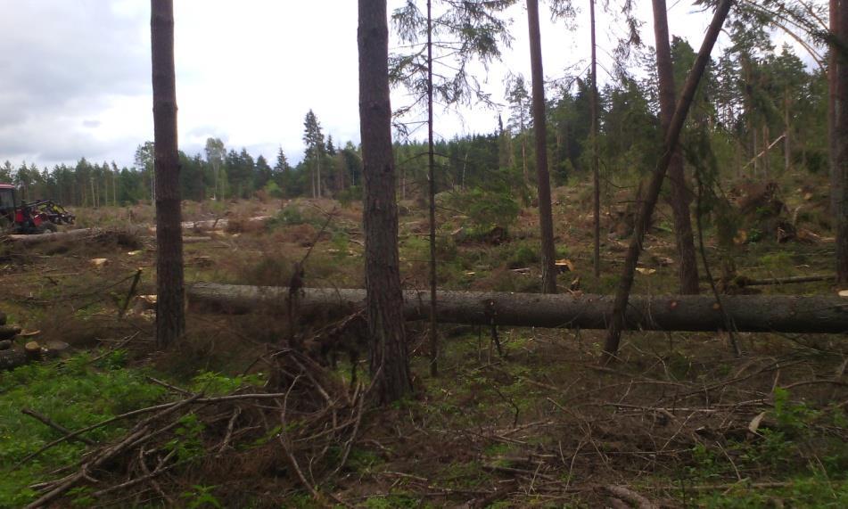 21 Wprowadzono zakaz wstępu do