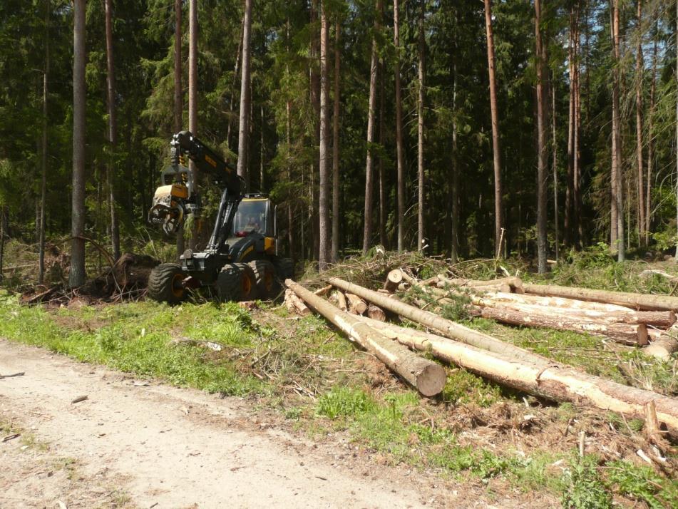 23 Przy porządkowaniu lasu pracuje 90 pilarzy i 32 harwestery.