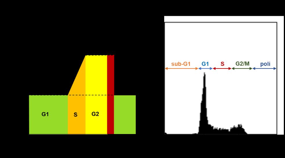 Rysunek 3.