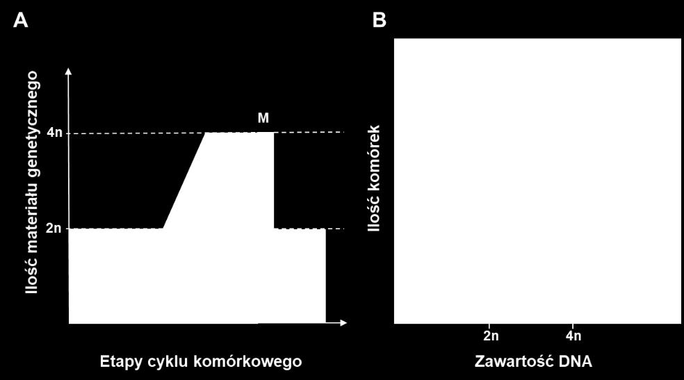 (komórki w prawym dolnym rogu wykresu - pozytywne dla parametru z osi X, komórki w górnym prawym rogu - dla obu parametrów; w lewym górnym rogu - pozytywne dla parametru z osi Y, w lewym dolnym rogu