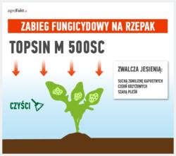 .pl https://www..pl Presja ze strony chorób w każdym roku będzie wyglądać inaczej. Głównie wynika ona z przebiegu pogody.