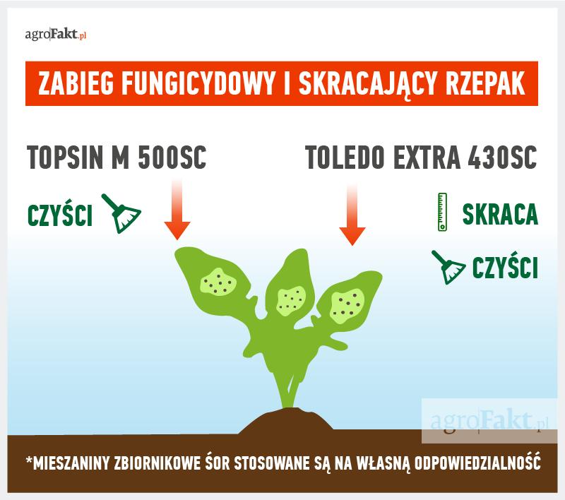 .pl https://www..pl Aby wykonać zabieg czyszczący i skracający rzepak można zastosować mieszaninę produktów Topsin M 500SC + Toledo Extra 430SC.