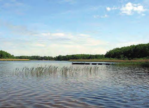 , przypisano I klasę (stan bardzo dobry). Spośród wskaźników fizykochemicznych tylko azot ogólny nie spełniał kryterium II klasy.