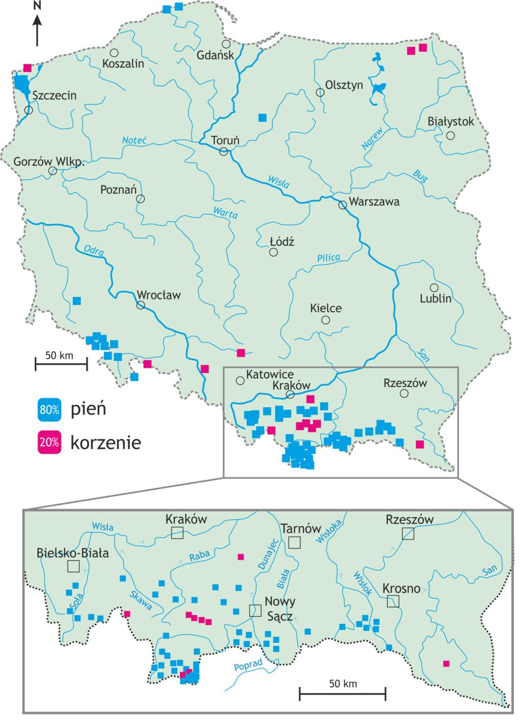 Ryc. 3. Zastosowanie metody dendrochronologicznej w geomorfologii z podziałem na rodzaj materiału badawczego tj. pnie i korzenie drzew.