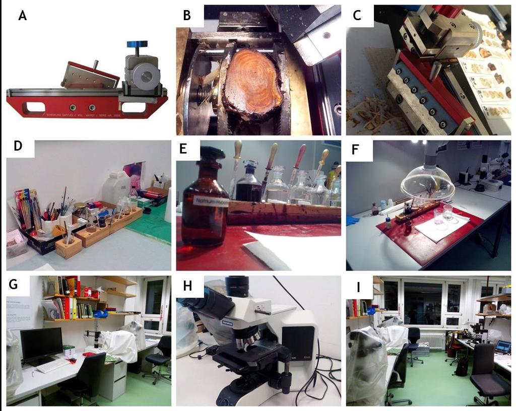 Ryc. 8. Etapy prac laboratoryjnych w celu przygotowania przeźroczy mikroskopowych korzeni sosny zwyczajnej wykonane w trzech laboratoriach dendrochronologicznych (patrz tekst).