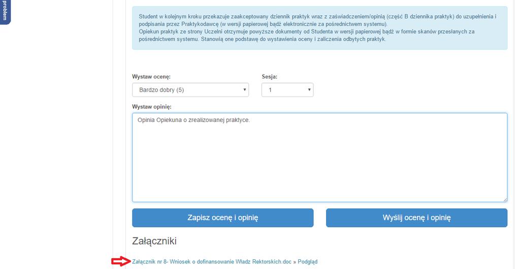 W szczegółach praktyki, w dolnym polu ekranu pojawi się uzupełniony i zaakceptowany dziennik praktyk studenta oraz formularz do oceny praktyki.