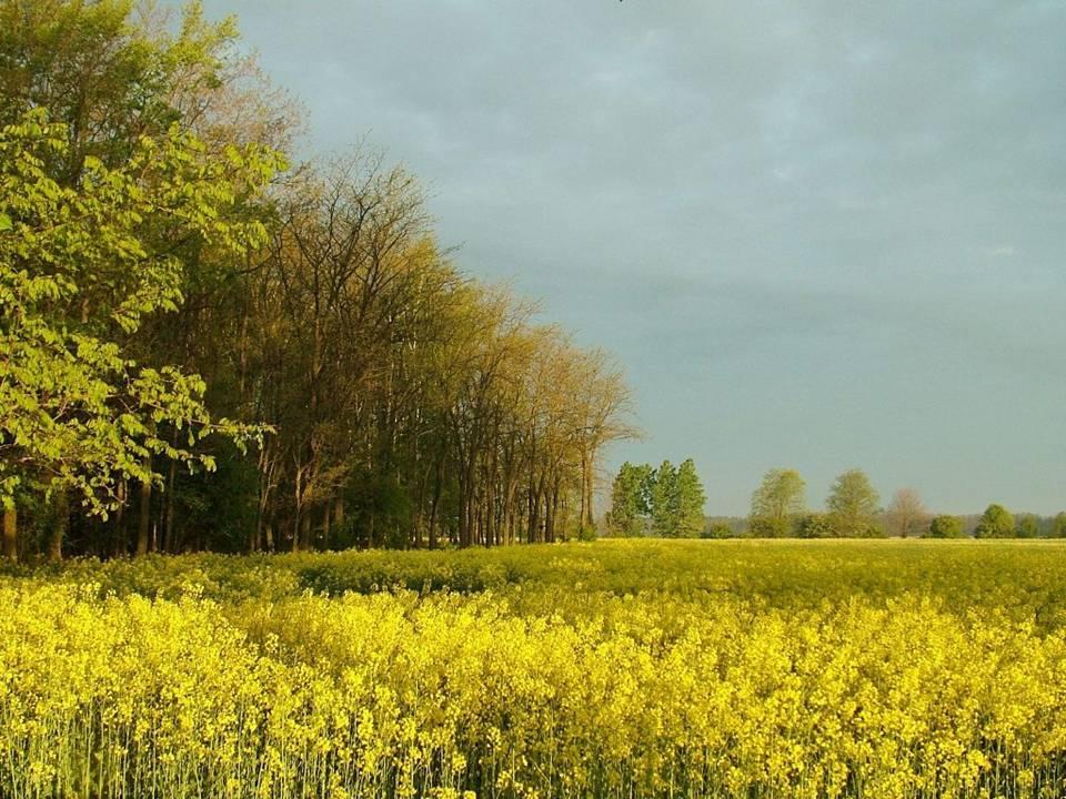 Znaczenie środowisk w bezpośrednim sąsiedztwie