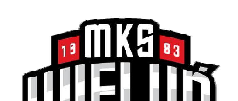13. KOLEJKA - 12.12.2015 - II LIGA, GRUPA 3 HALA WIDOWISKOWO - SPORTOWA, UL.