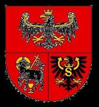 Patronat honorowy Marszałek Województwa