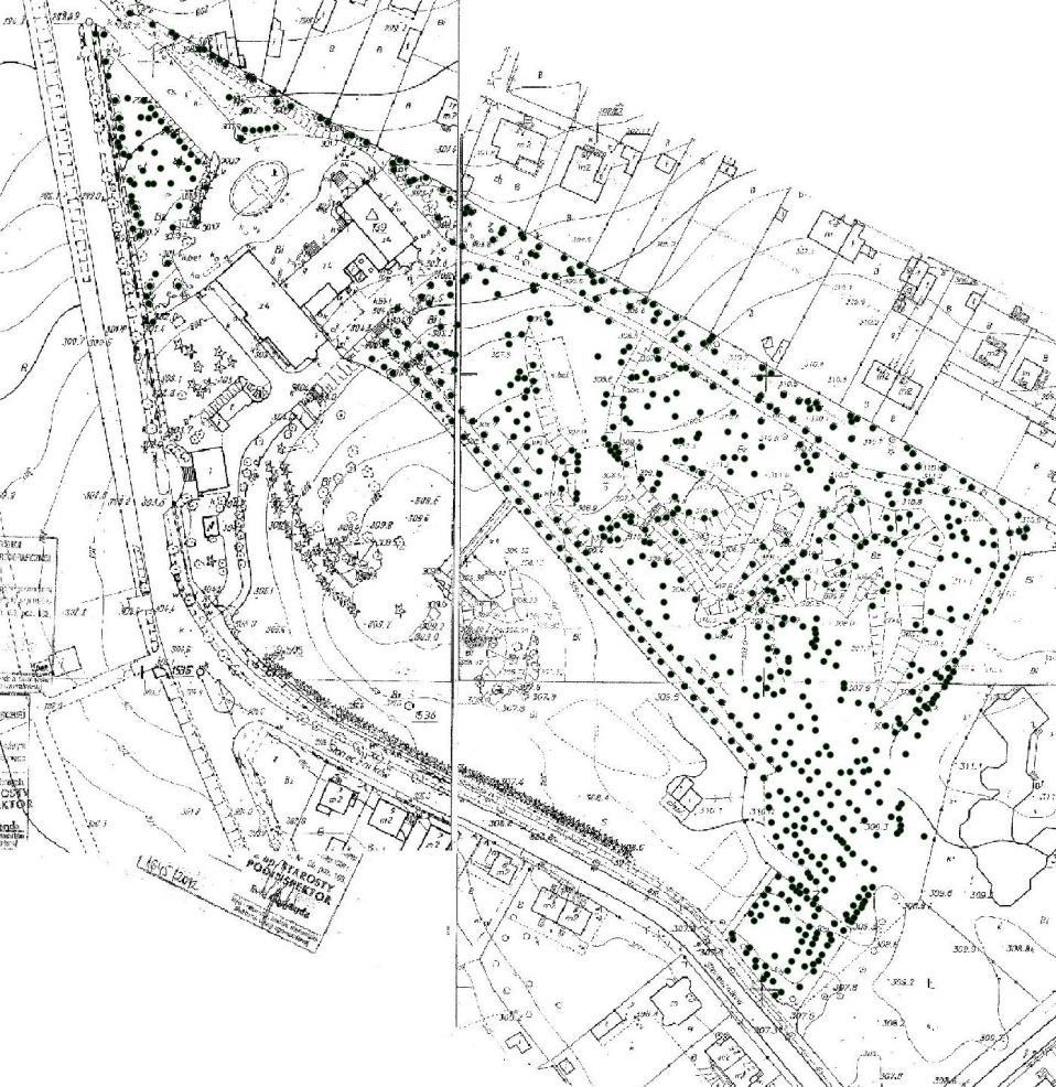 Park zakonu OO. Kamilianów 17 Aleja lipowa Rys. 1. Schemat rozmieszczenia drzew na inwentaryzowanym obszarze parku Zakonu OO.