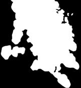 głębokim systemie korzeniowym Ograniczenie orki