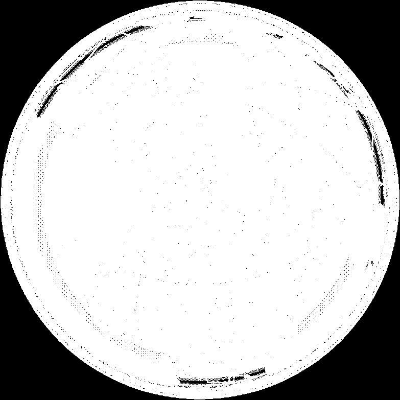 a PW