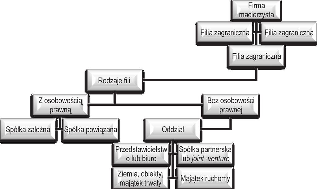 Biz jako forma ekspansji ktn we współczesnej gospodarce 373 nicznych.