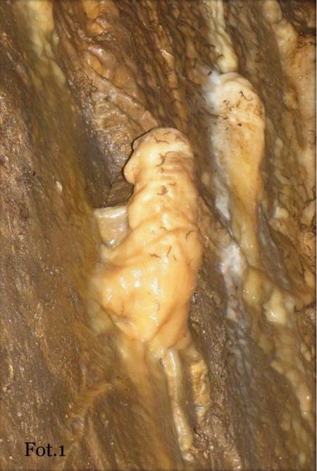 Objawienie z fotografii drugiej znajduje się w Górach Stołowych na Szczelińcu Wielkim. Jest to kawał skały w kształcie ludzkiej głowy z dobrze widoczną twarzą.