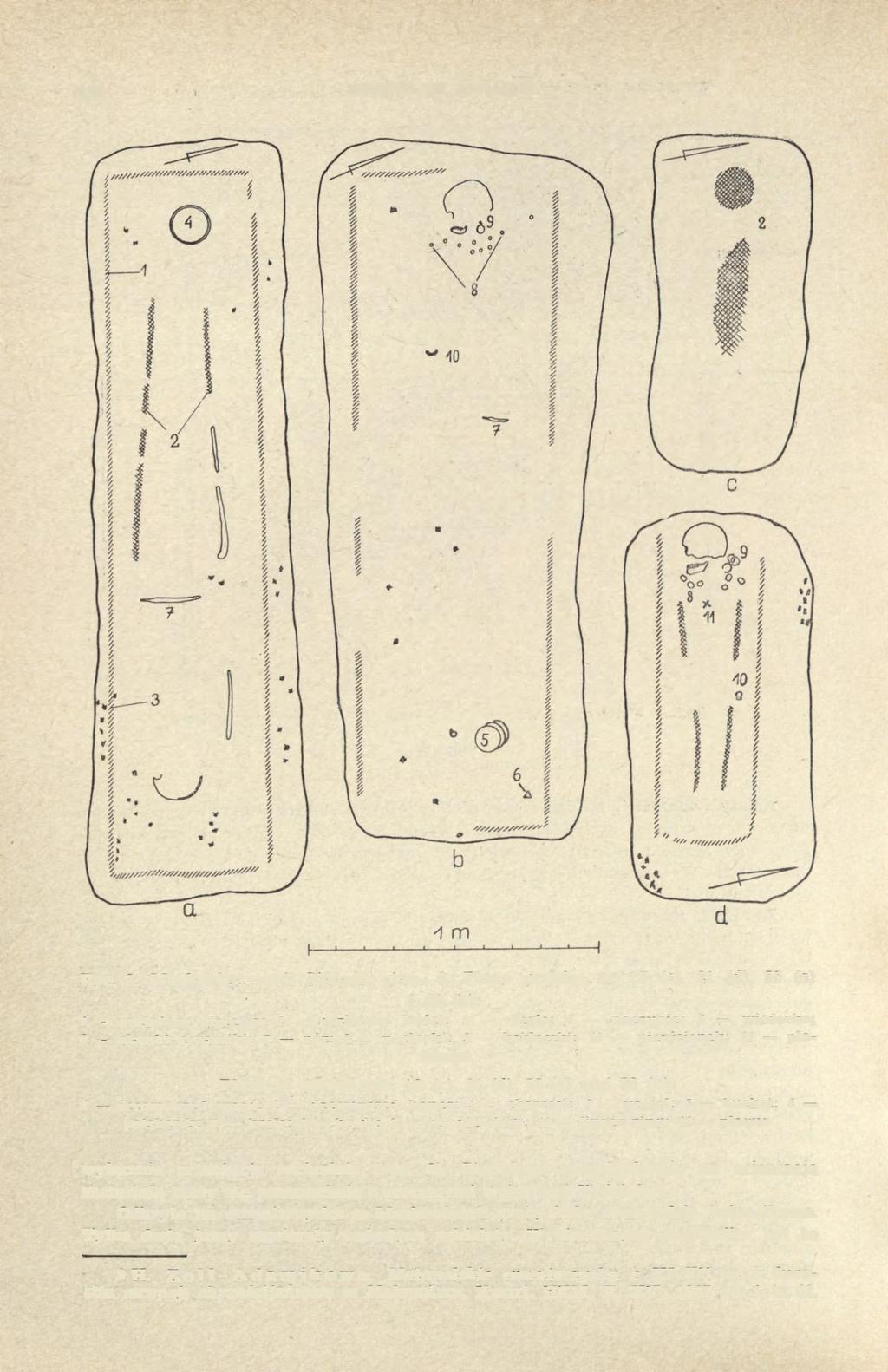 230 BOGUSŁAW ABRAMEK Ryc. 3.