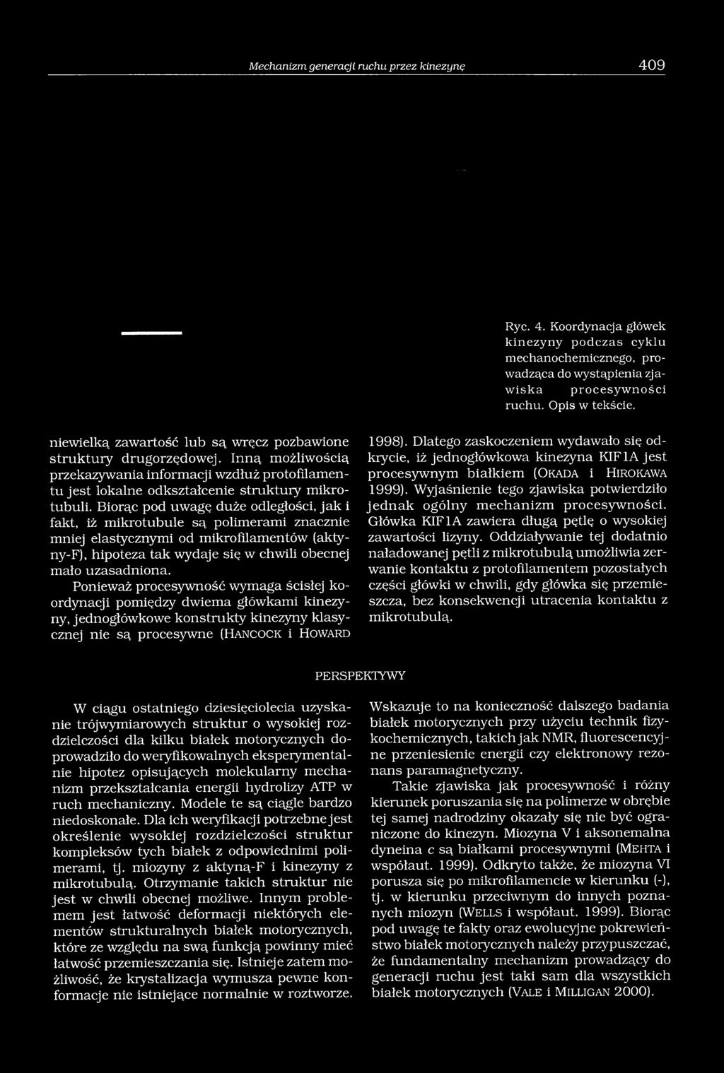 Biorąc pod uwagę duże odległości, jak i fakt, iż mikrotubule są polimerami znacznie mniej elastycznymi od mikrofilamentów (aktyny-f), hipoteza tak wydaje się w chwili obecnej mało uzasadniona.