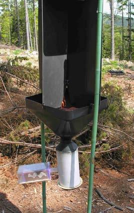 bassiana and in the control stands located 13 15 km away (in 2011: forestry management unit 223b in the forest division Romanka Dolna; in 2012: 108f, forest division Korbielów; 2013: 196ab/199,