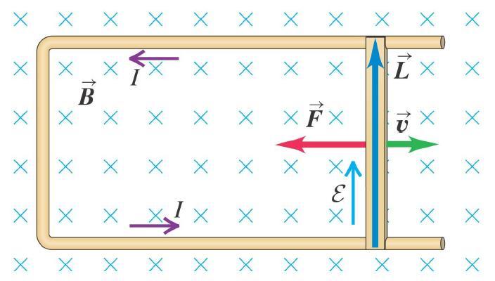 Zjawisko indukcji elektromagnetycznej - wyjaśnienie działa siła Lorentza: F B = qv B, która powoduje rozsunięcie ładunków w przewodzie A jak na końcach przewodnika powstanie różnica potencjałów, to.