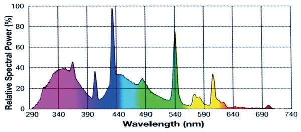 M. NOCU, S. KWA NY Rys. 2. Charakterystyka spektralna: wietlówki imituj cej promieniowanie s oneczne, wietlówki emituj cej wiat o niebieskie. Fig. 2. Spectral characteristics: uorescent lamp emitting sunlight light, uorescent lamp emitting blue light.
