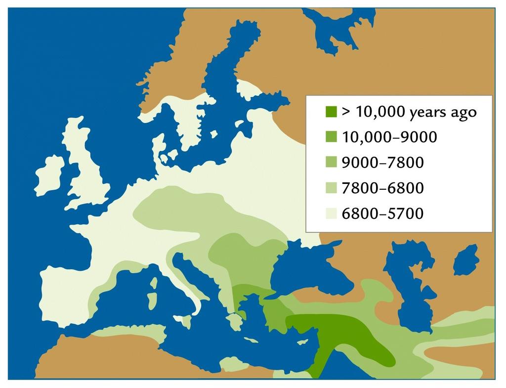 Czy wypaliliśmy dość lasów?