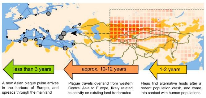 Susze w Azji Środkowej i Czarna Śmierć Prawie wszystkie europejskie epidemie dżumy (Yersinia pestis) poprzedzone były suszami w Azji Środkowej, najczęściej wcześniejszymi o 14-16
