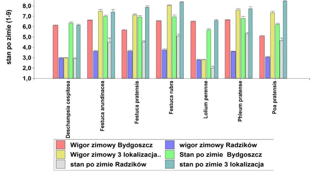 Radzików