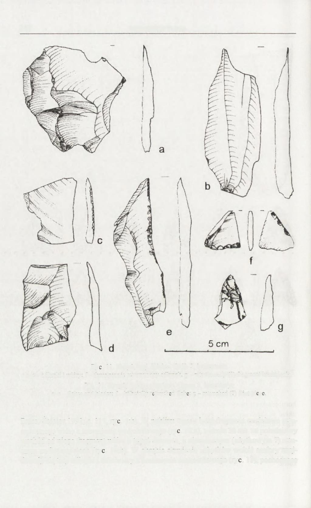 188 KRZYSZTOF TUNIA Ryc. 11. Krzyż. woj. Kielce. Grób 2, inwentarz: a-c - odłupki i wióry: f- dwustronnie retuszowany odłupek; g - retuszowany (?) fragment krzemienia. Fig. 11. Krzyż, Kielce province.