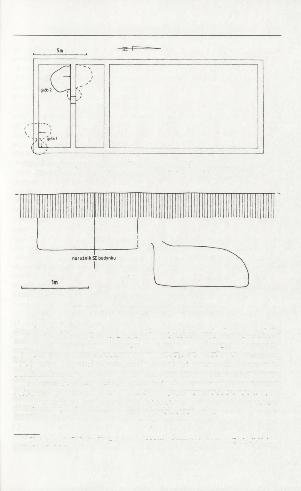 GROBY KULTURY CERAMIKI SZNUROWEJ W KRZYŻU, WOJ. KIELCE 183 Ryc. 2. Krzyż, woj. Kielce. Grób 1 i 2, usytuowanie w obrębie budynku gospodarczego. Fig. 2. Krzyż, Kielce province.