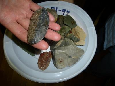 gov/pmc/articles/pmc4356571/ Miska pełna neandertalskich