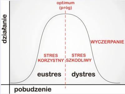 Kiedy nasze ciało mobilizuje się do działania i kiedy dzięki temu działamy efektywnie i racjonalnie, motywacja jest wysoka mówimy o e stresie.