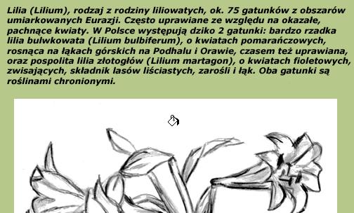10 Zapisz swoją pracę. Nałożenie warstwy z obrazem na tło Tryby nakładania ustalają, w jaki sposób piksele powstające podczas używania narzędzi rysunkowych lub edycyjnych oddziaływują na obraz.
